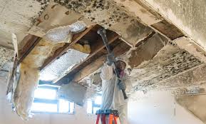 Mold Odor Removal Services in Summerside, OH